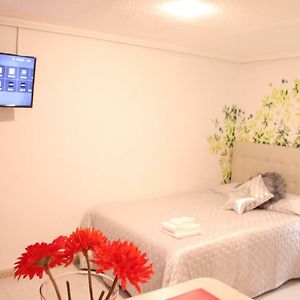 Apartamento Planta baja